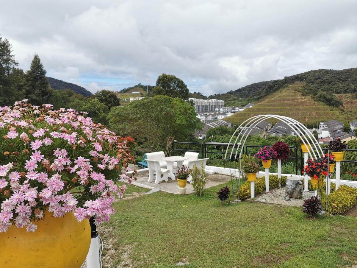 Dear Dino Homestay Cameron Highlands