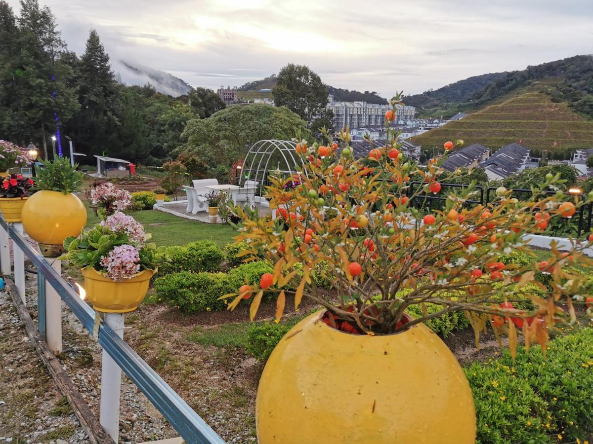 Dear Dino Homestay Cameron Highlands