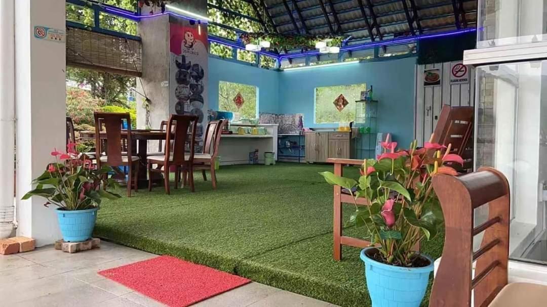 Homestay Dear Dino