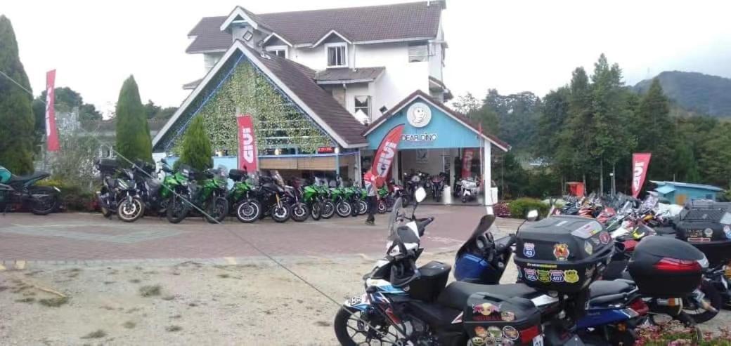 Homestay Dear Dino Cameron Highlands