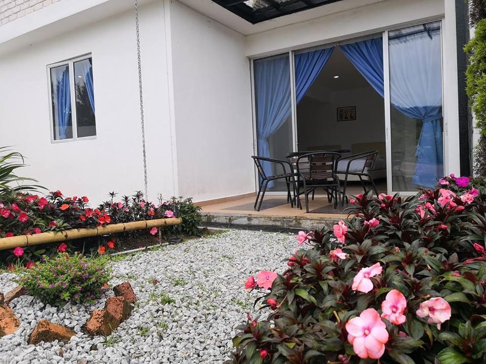 Homestay Dear Dino Cameron Highlands