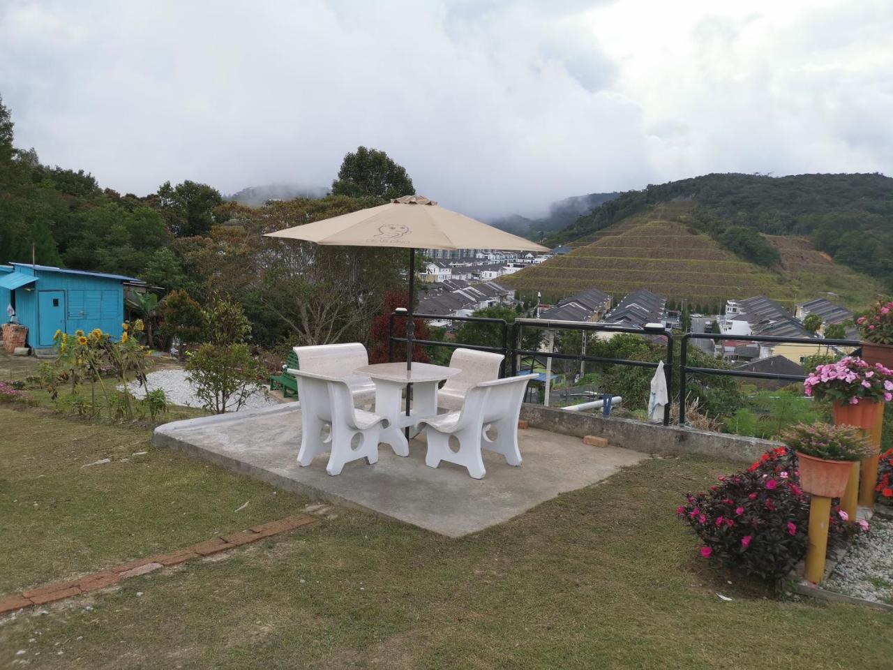 Dear Dino Homestay Cameron Highlands