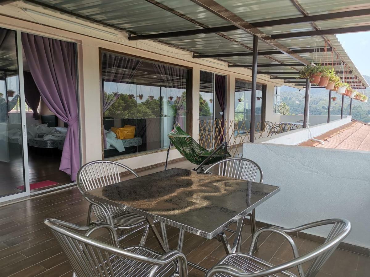 Dear Dino Homestay